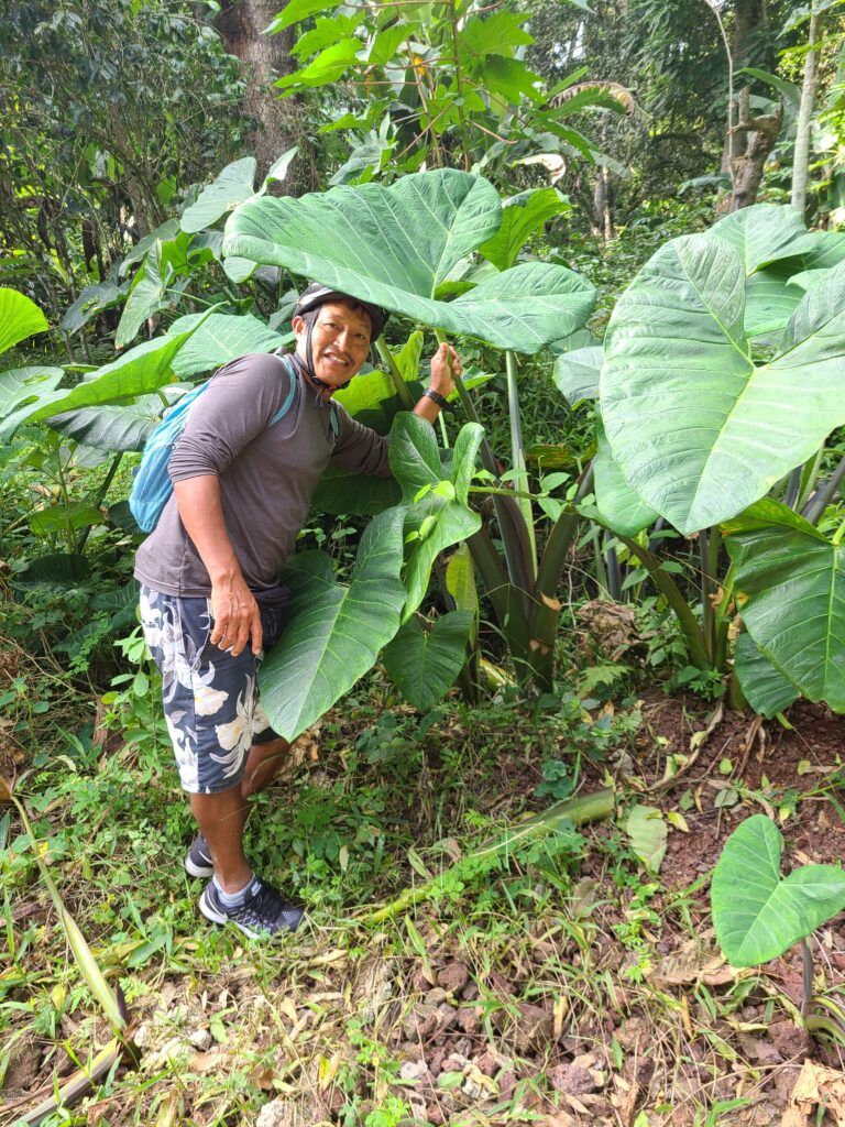 man with umbrella plant San Cristobal Galapagos