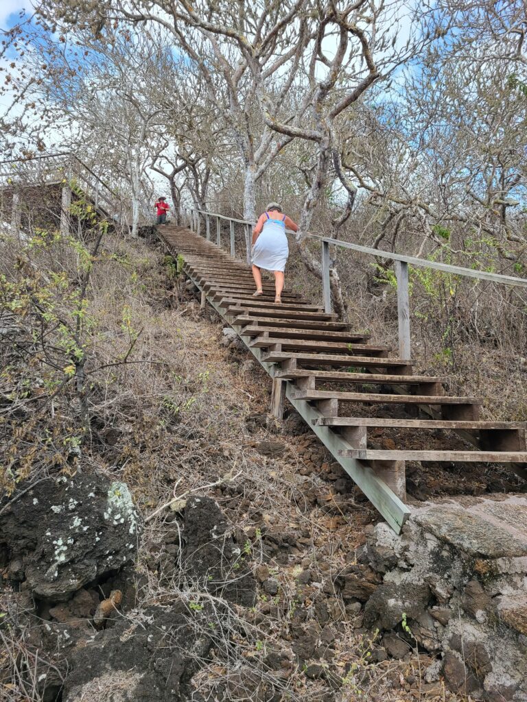woman climbing wooden stairs at cerro tijeretas