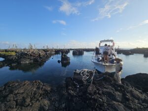 boat at Los Tuneles in Isabela, Galapagos