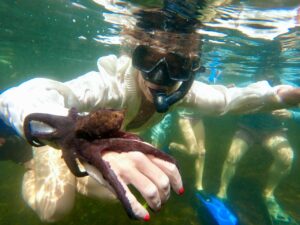 woman snorkeling in los tuneles with galapagos octopus