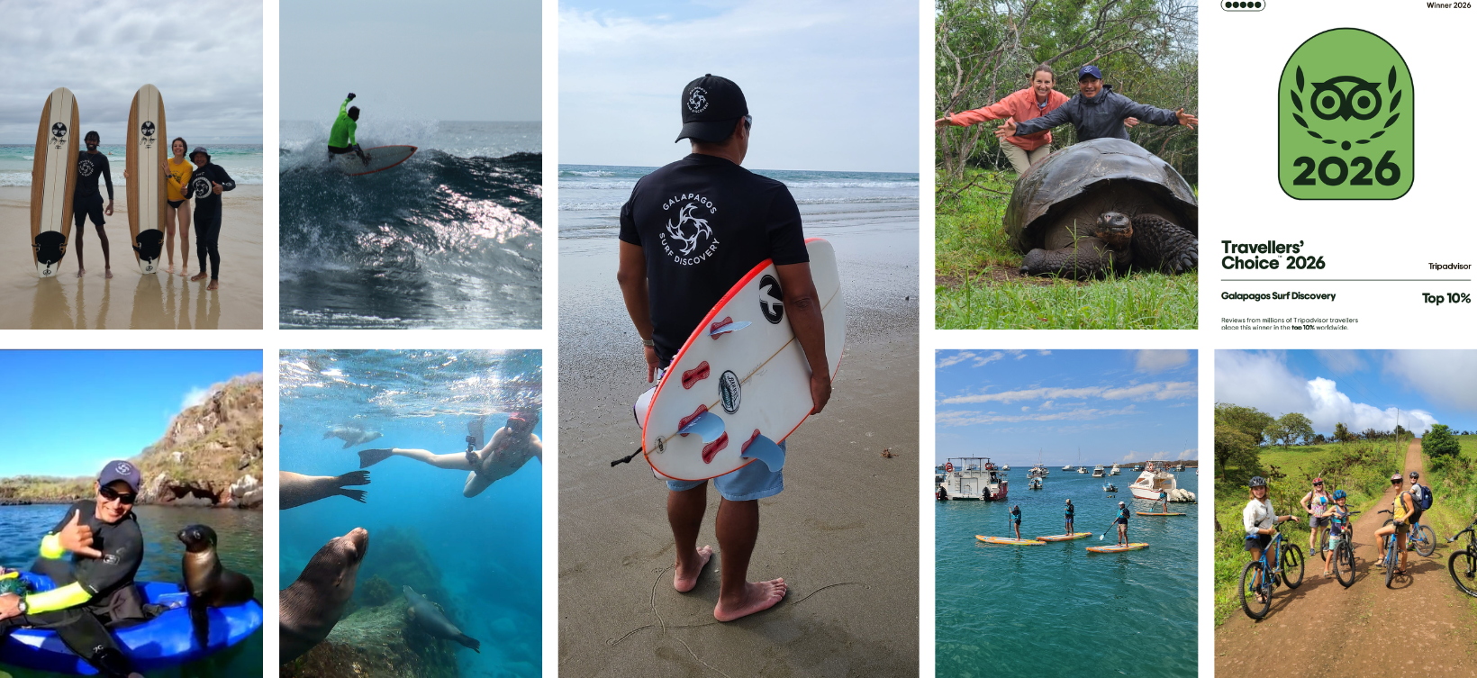 photo collage showing tours and activities in Galapagos