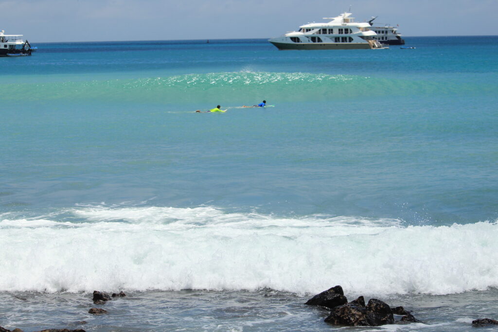surfers watching an approaching wave at Playa Mann, San Cristobal, Galapagos