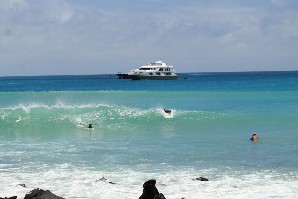 surfers at Playa Mann, San Cristobal, Galapagos