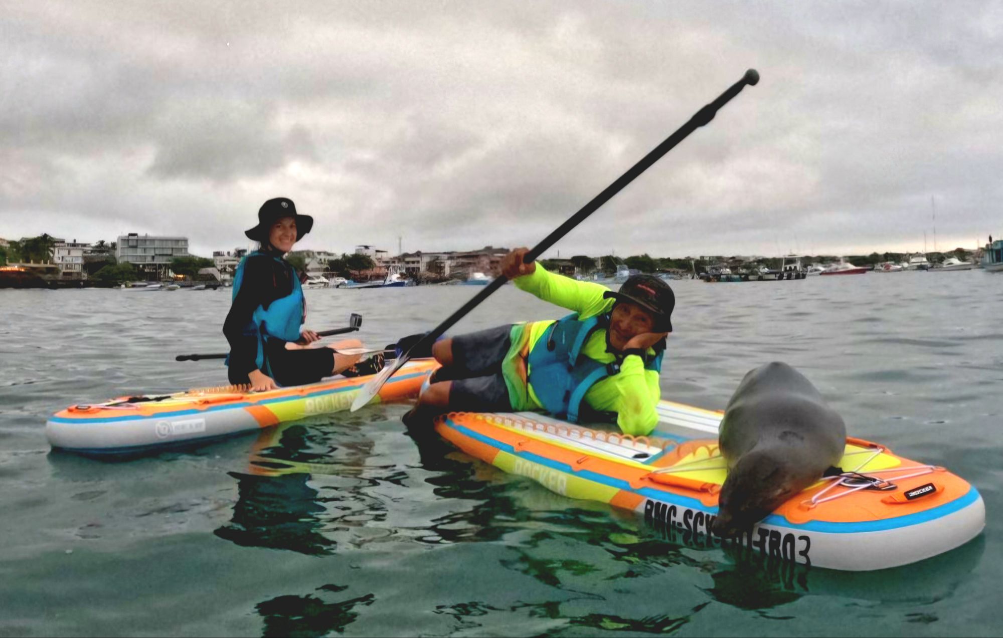 man and woman sitting on paddleboards with sea lion in galapagos