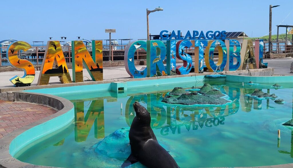 sea lion in front of san cristobal galapagos sign