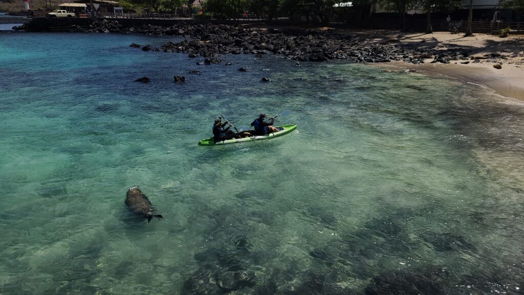 two men in a kayak near a sea lion in San Cristobal, Galapagos