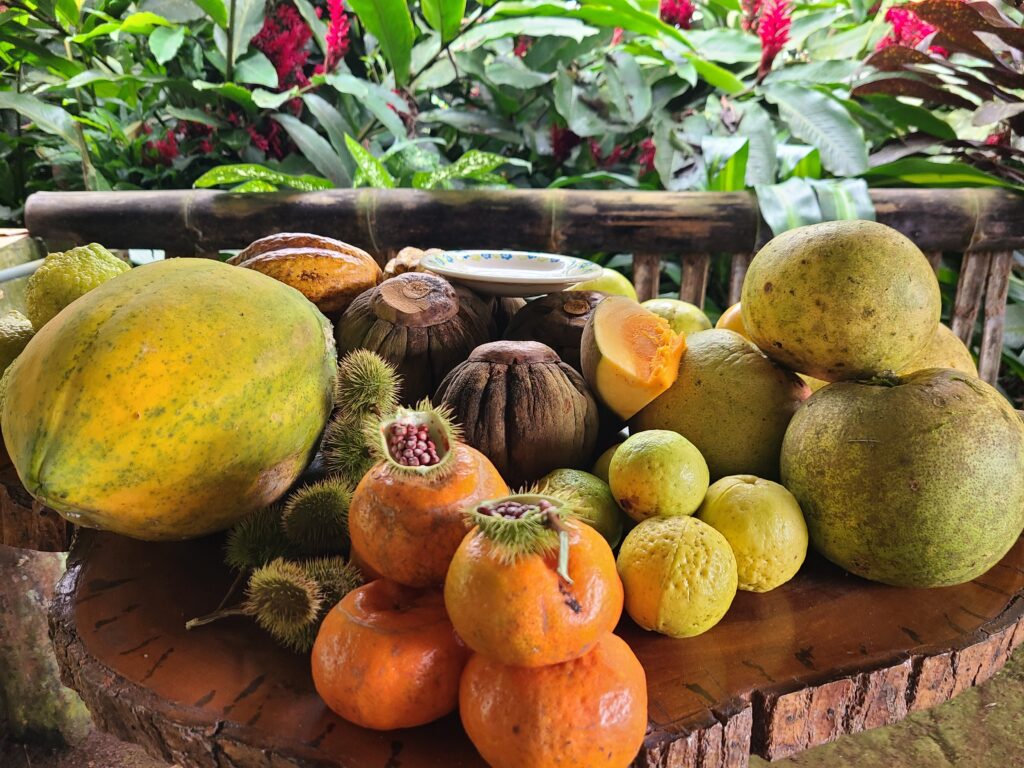 fresh fruits on a local farm in Cerro Verde, San Cristobal, Galapagos
