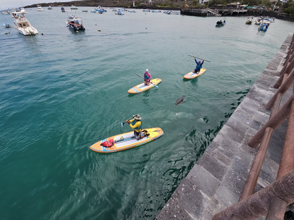paddleboard tour in San Cristobal Galapagos