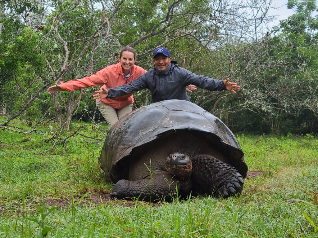 woman and man standing behind Galapagos giant tortoise