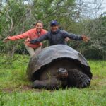 woman and man standing behind Galapagos giant tortoise
