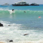 a man surfing with a sea lion at Playa Mann, San Cristobal, Galapagos
