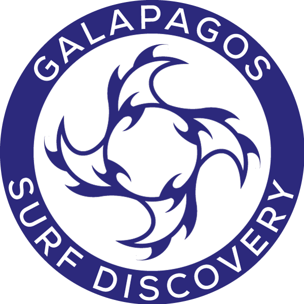 Galapagos Surf Discovery | A Complete Guide to Traveling from Baltra ...