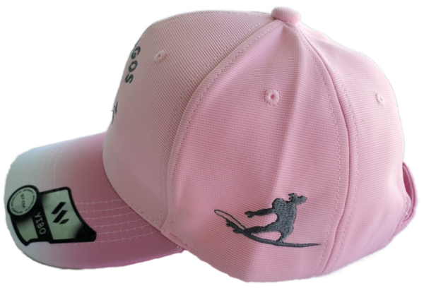 Galapagos Surf Discovery embroidered ball cap pink